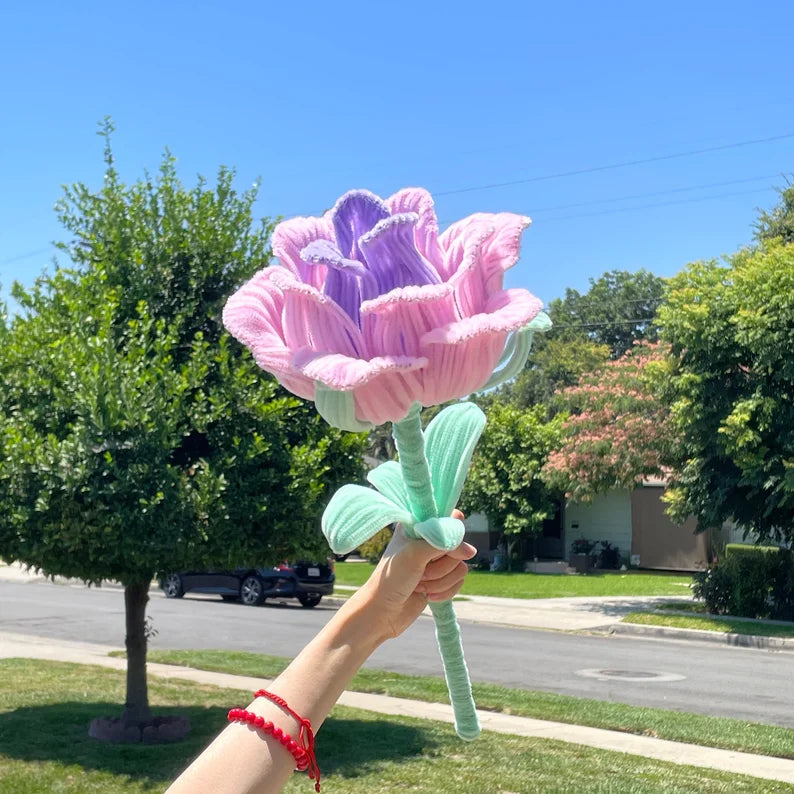 Pipe Cleaner Cleaner Crafts