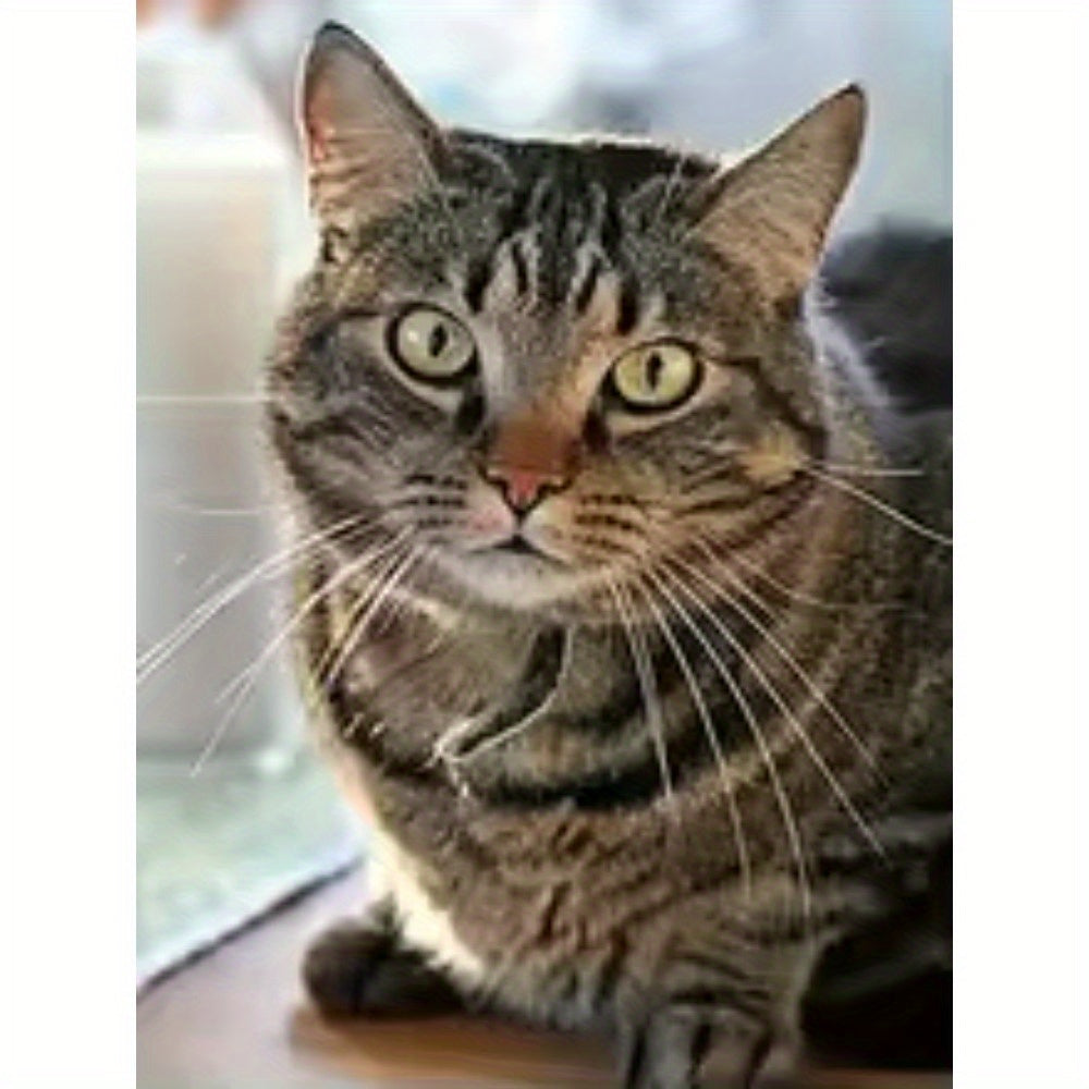 Cat diamond Painting Cross Stitch Kits Mosaic Embroidery Home Decoration 5D DIY Art New Arrivals