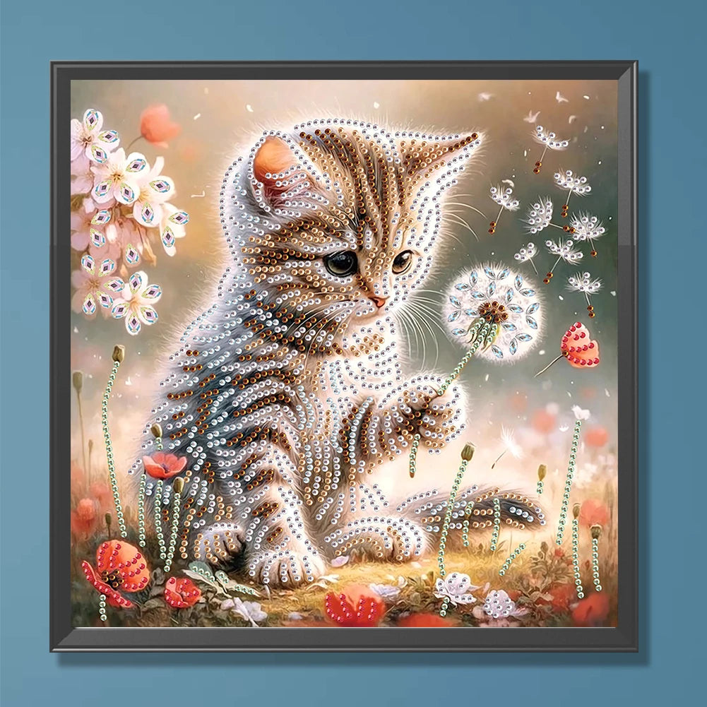 30x30cm Cat 5D DIY Special Shape Crystal Partial Diamond Painting Kit Decor