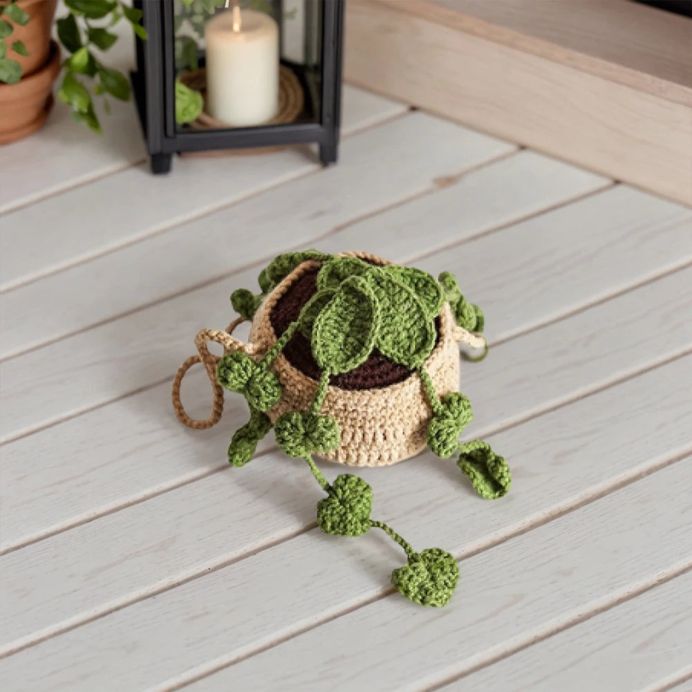 4Pcs Potted Plants Crochet Starter Kit DIY Crochet Set with Step-by-Step Video Tutorials for Beginners Adults