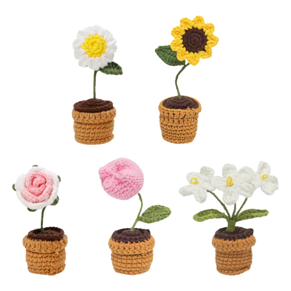4Pcs Potted Plants Crochet Starter Kit DIY Crochet Set with Step-by-Step Video Tutorials for Beginners Adults