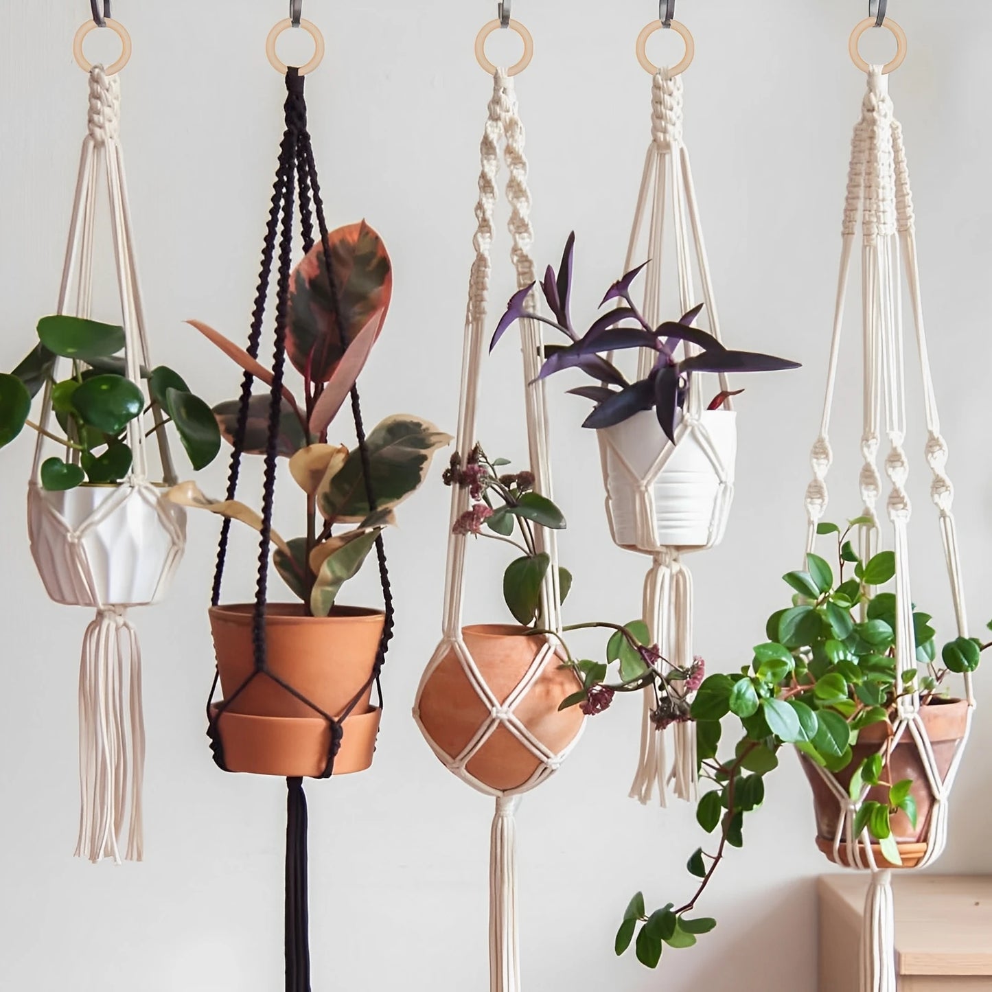 DIY Macrame Wall Hanging Kit Complete Macrame Kit with Cotton Rope Wood Beads Wood Rings Beginners DIY Craft Macrame Kit