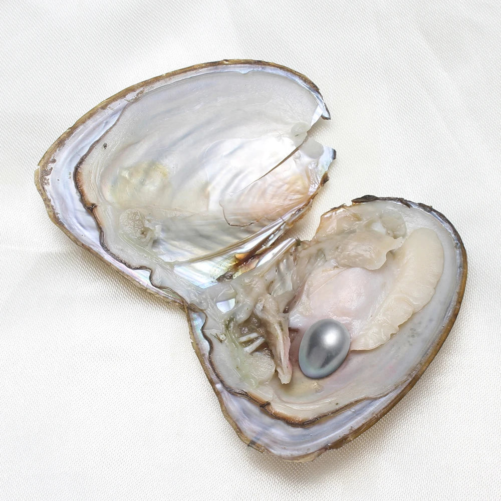 50pcs/Lot High-quality Pearls 7-8MM AA+ Single Pearl Vacuum-pack Oyster Beautiful & Interesting Nature Gifts Cultivate