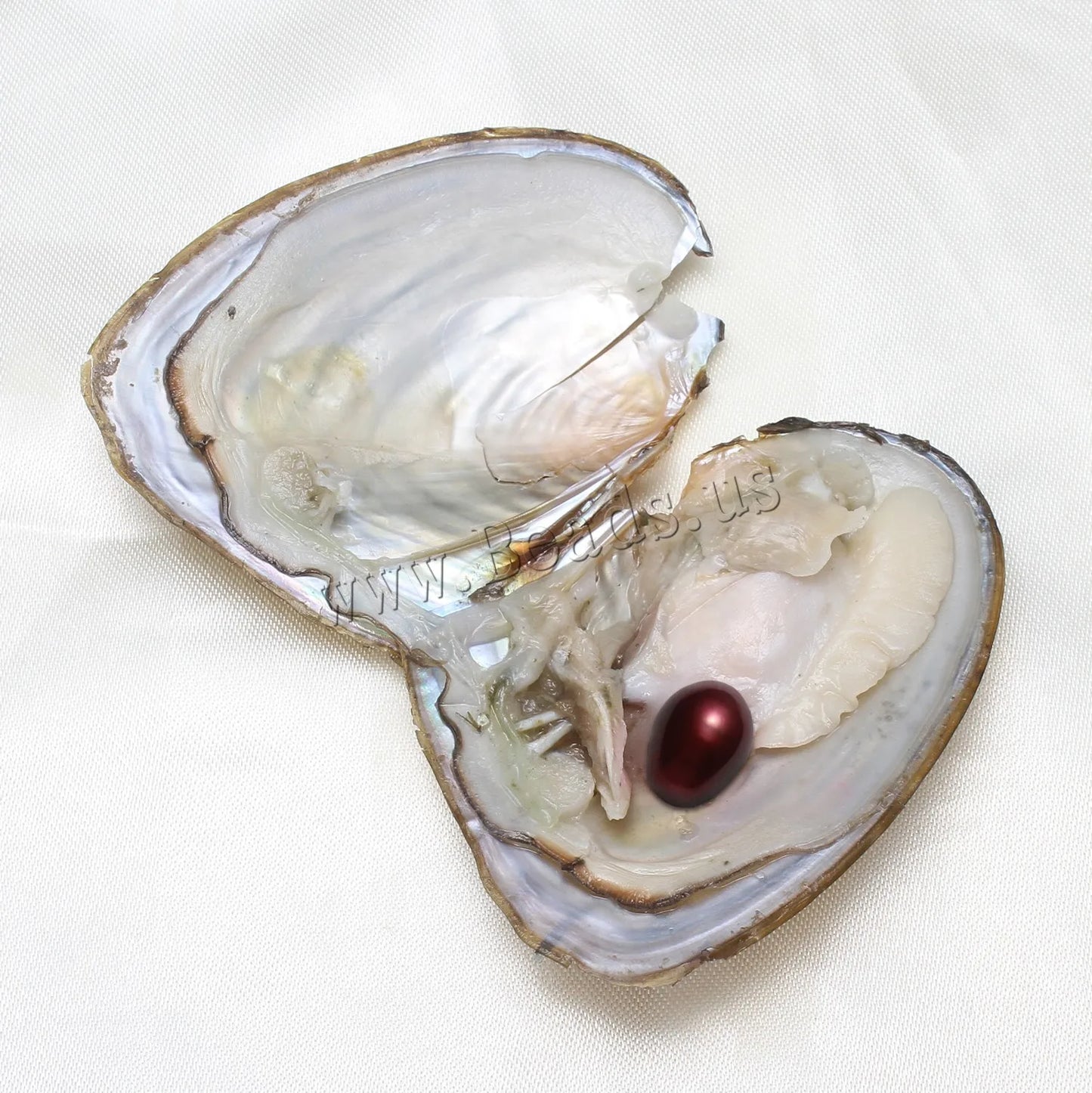 50PCs/Lot Oyster Wish Pearl Kit Freshwater Pearl Rice mixed colors 7-8mm Freshwater Pearl Beads Jewelry DIY Accessories Gift