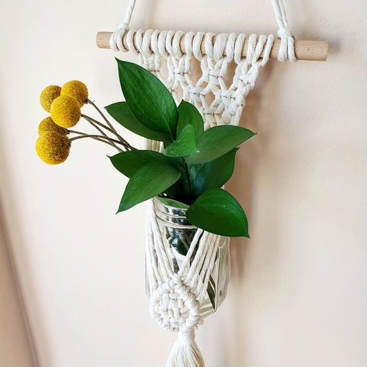 1SET Macrame Kit, Easy Macrame Plant hanger, includes materials and written pattern with step by step instructions for beginners, good gift for holiday and women